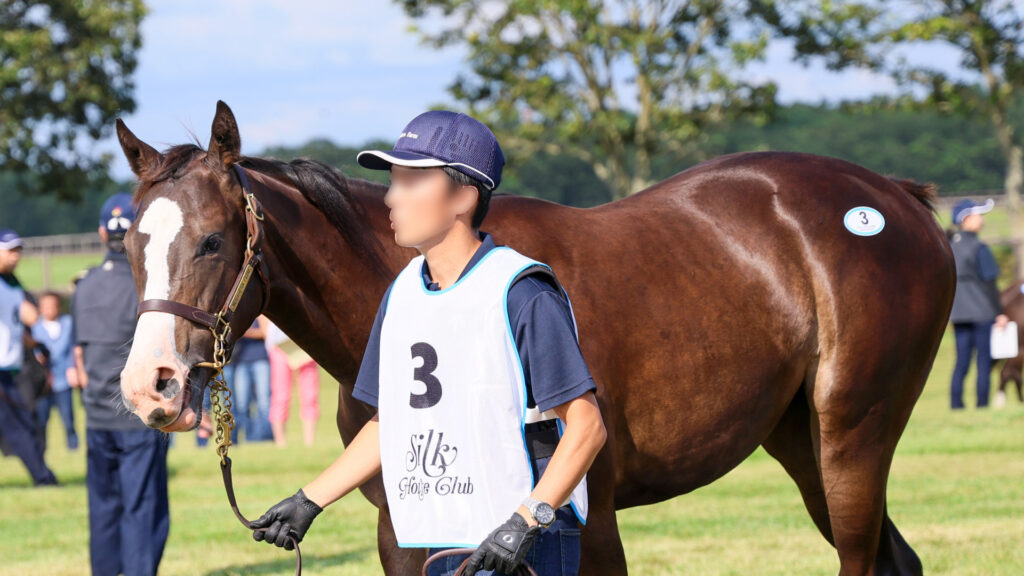 2025年シルク・ホースクラブ募集馬ツアーで訪れたノーザンファームYearling。黒鹿毛の牝馬「シャトーブランシュの24」が周回展示で担当者さんと落ち着いて歩いている写真。真横から撮影した写真。
