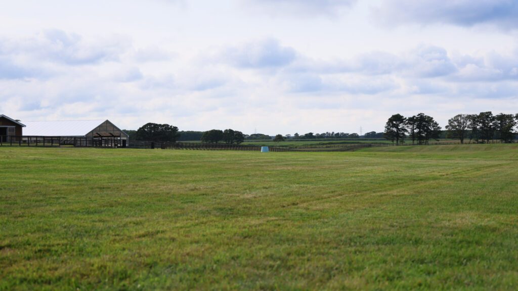 2025年シルク・ホースクラブ募集馬ツアーで訪れたノーザンファームYearling。夏を感じる空に緑が延々と続く。