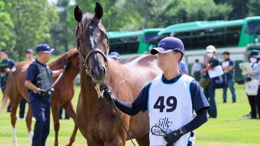 2025年シルク・ホースクラブ募集馬ツアーで訪れたノーザンファームYearling。青鹿毛の牡馬「リアアメリアの24」が、周回展示で担当者さんと歩いている様子。斜め前から撮影した写真。カメラ目線がかわいい写真。