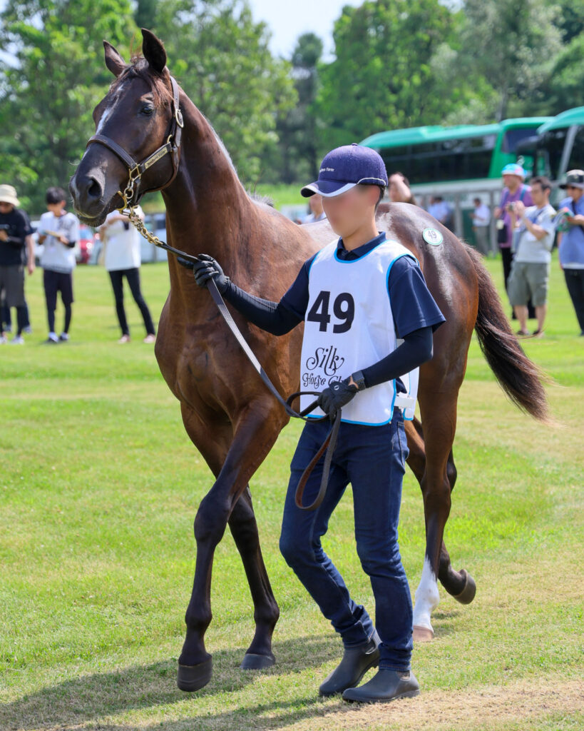 2025年シルク・ホースクラブ募集馬ツアーで訪れたノーザンファームYearling。青鹿毛の牡馬「リアアメリアの24」が、周回展示で担当者さんと歩いている様子。斜め前から撮影した写真。