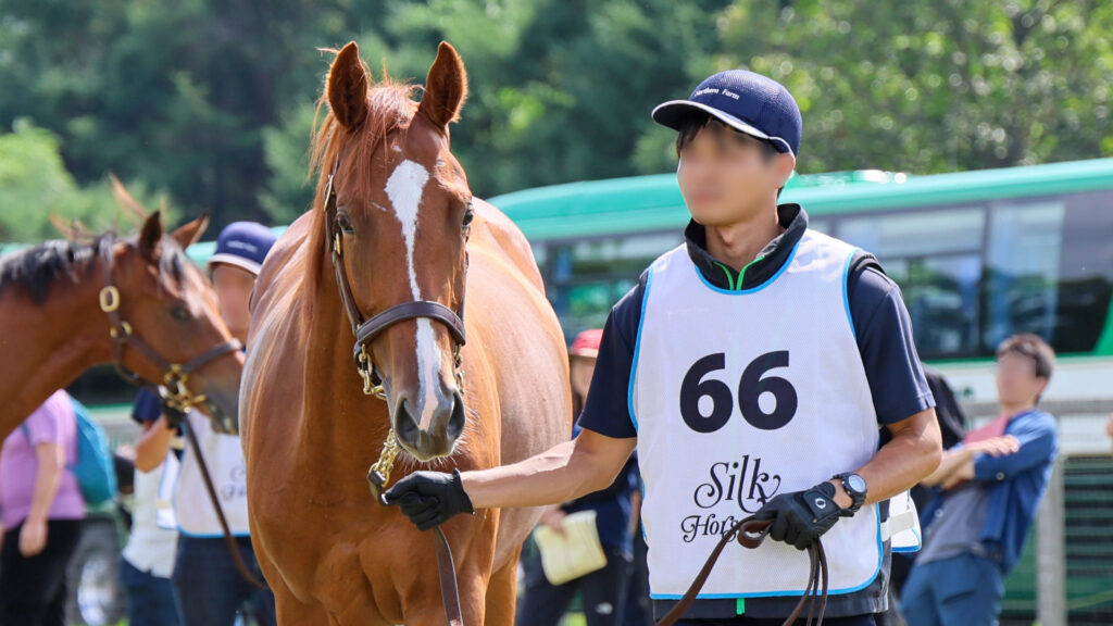2025年シルク・ホースクラブ募集馬ツアーで訪れたノーザンファームYearling。栗毛の牡馬「ローブティサージュの24」が、周回展示で担当者さんと歩いている様子。正面から撮影した写真。