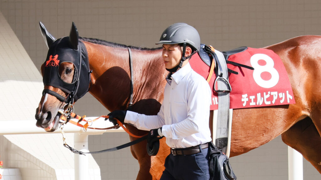 GⅡローズステークス当日、阪神競馬場のパドックで厩務員の方に引かれゆったりと歩く出資馬のチェルビアット。日に照らされた馬体が輝いている。