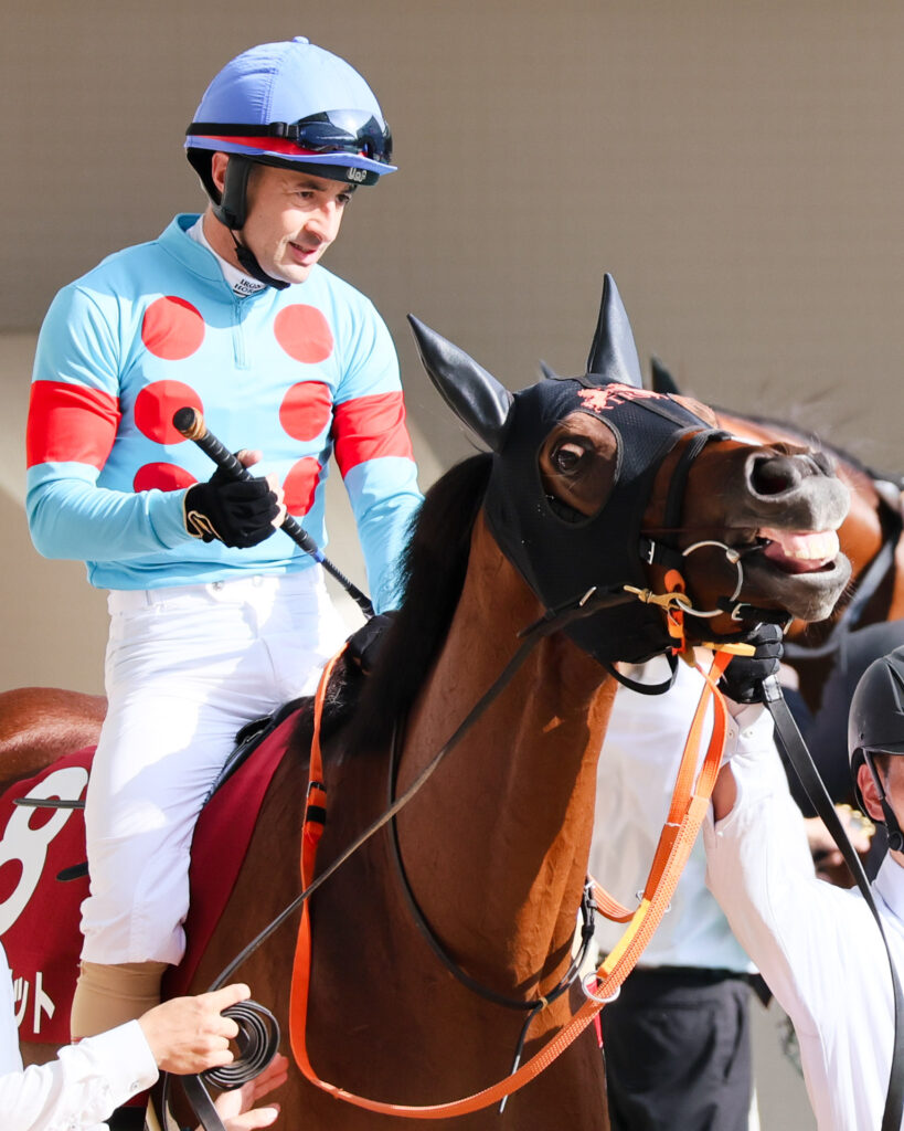 GⅡローズステークス（2025年）で阪神競馬場に出走した出資馬のチェルビアット。ルメール騎手を背に黄金一族の血が騒いだのか、かわいらしい表情を見せた写真。