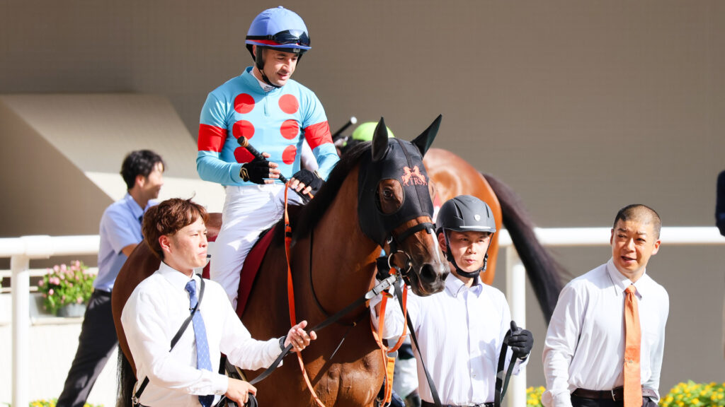 GⅡローズステークス（2025年）で阪神競馬場に出走した出資馬のチェルビアット。ルメール騎手を背にパドックを落ち着いて歩いている写真。高野調教師を始めチームが揃っている写真。