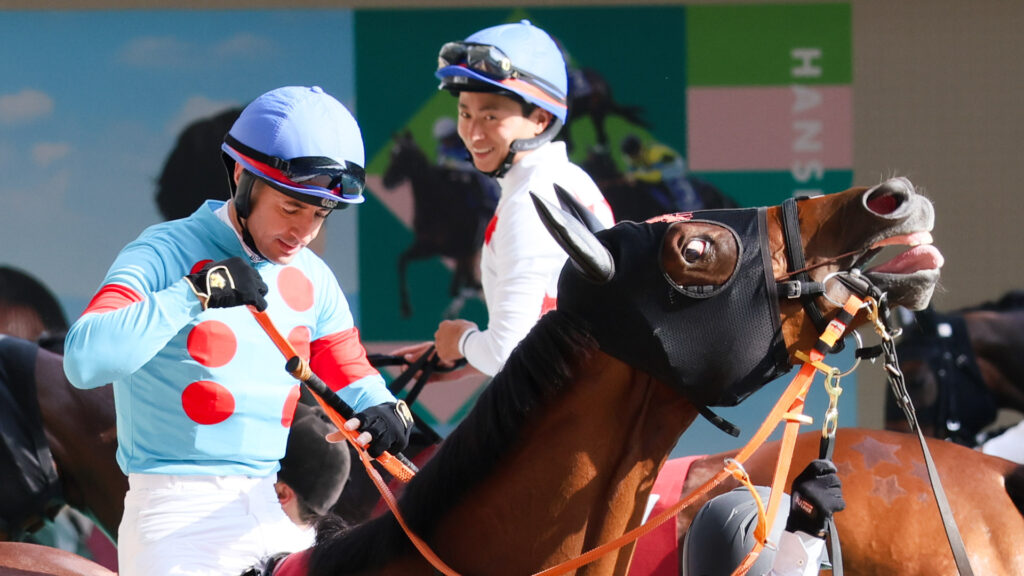 GⅡローズステークス（2025年）で阪神競馬場に出走した出資馬のチェルビアット。黄金一族の血が騒いだのか、ディクタスアイを見せた写真。ルメール騎手を背にして歩いている。