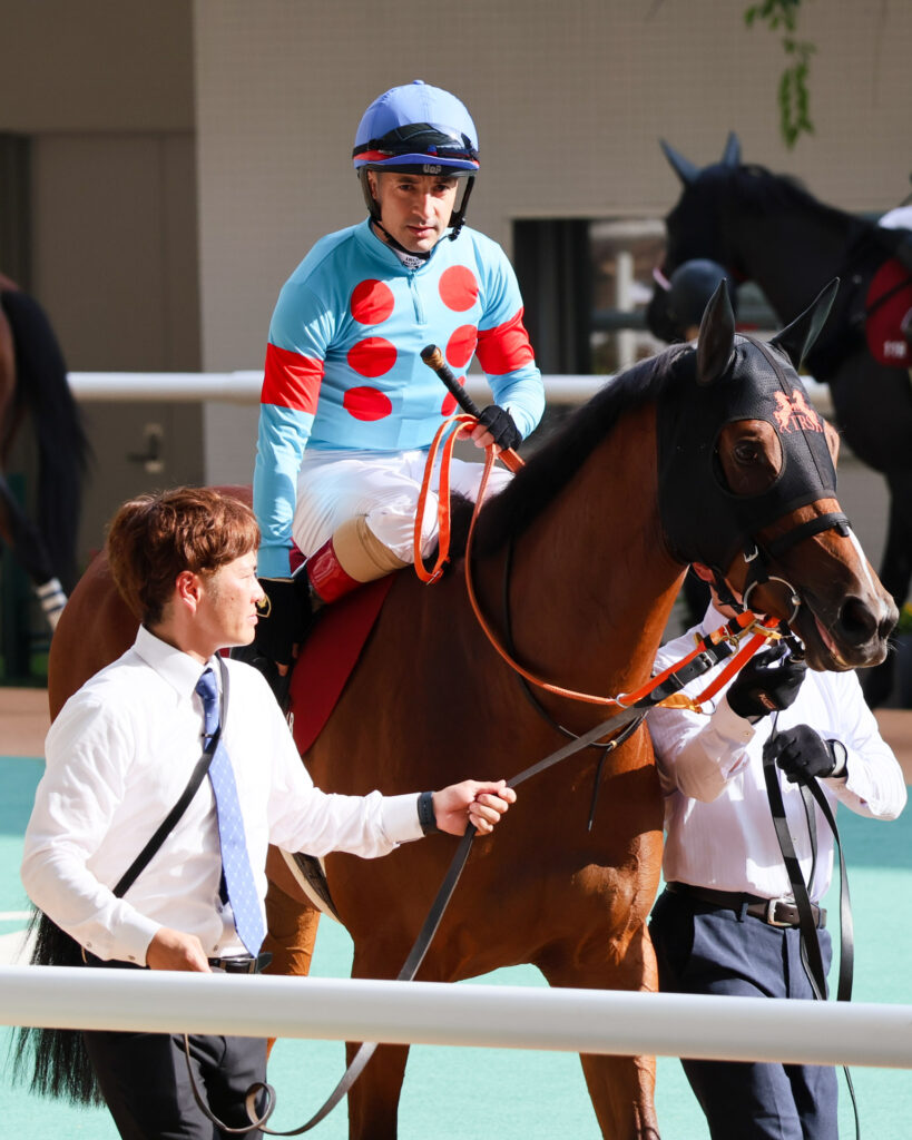 GⅡローズステークス（2025年）で阪神競馬場に出走した出資馬のチェルビアット。ルメール騎手を背にパドックを落ち着いて歩いている写真。