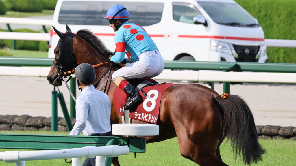 GⅡローズステークス（2025年）で阪神競馬場に出走した出資馬のチェルビアット。ルメール騎手を背に返し馬に向かう写真。厩務員の方が見送っている。