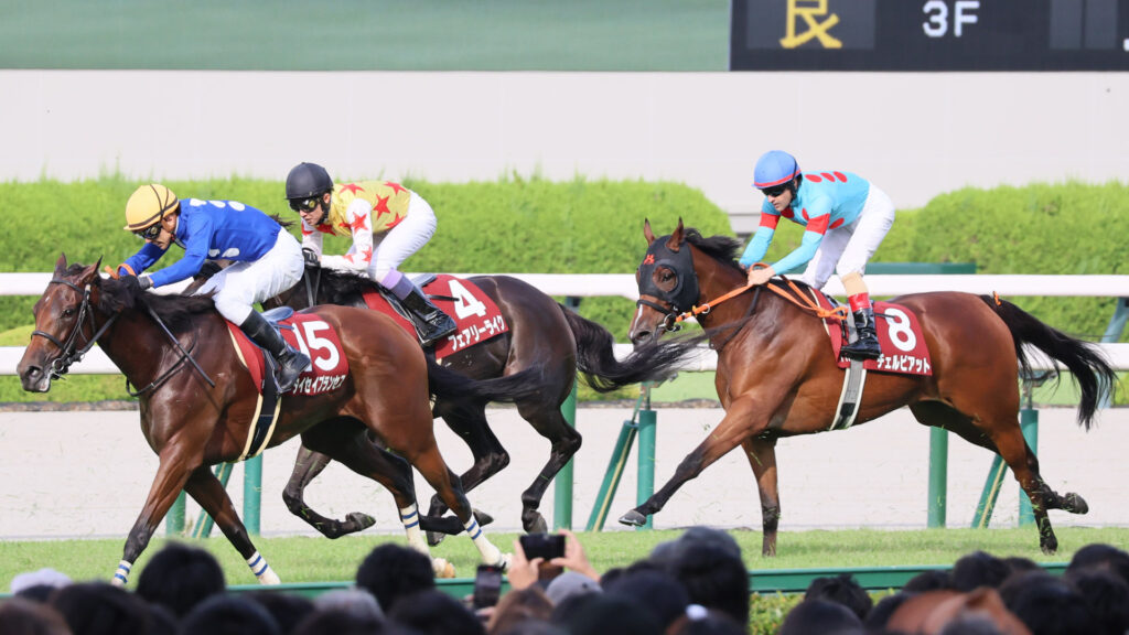 2025年ローズステークス（GⅡ）阪神競馬場、ルメール騎手騎乗のチェルビアットが直線を駆け抜けるレース写真。結果は残念だったが、無事に帰ってきてくれた。