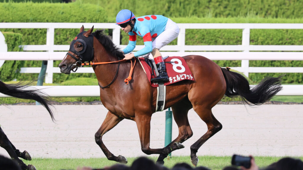 2025年ローズステークス（GⅡ）阪神競馬場、ルメール騎手騎乗のチェルビアットが直線を駆け抜けるレース写真。結果は残念だったが、一生懸命走り抜けてくれた。