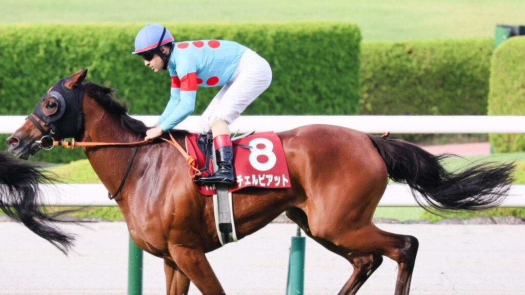 2025年ローズステークス（GⅡ）阪神競馬場、ルメール騎手騎乗のチェルビアットが直線を駆け抜けるレース写真。結果は残念だったが、一口馬主にとって記憶に残る一戦。