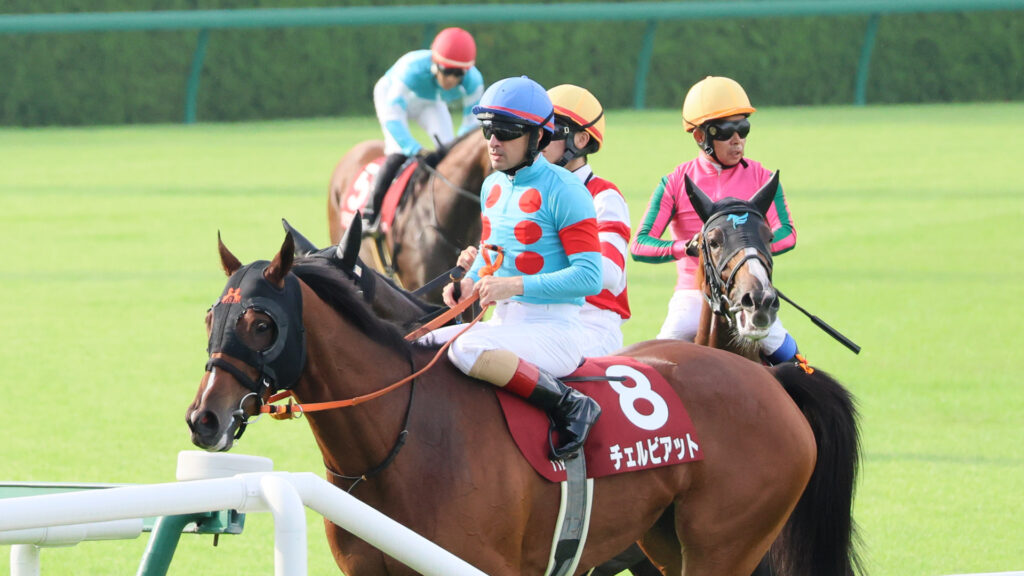 2025年ローズステークス（GⅡ）阪神競馬場、ルメール騎手騎乗のチェルビアットがレース後に検量室前に戻ってきている写真。次のレースに向けて、また頑張ろう。