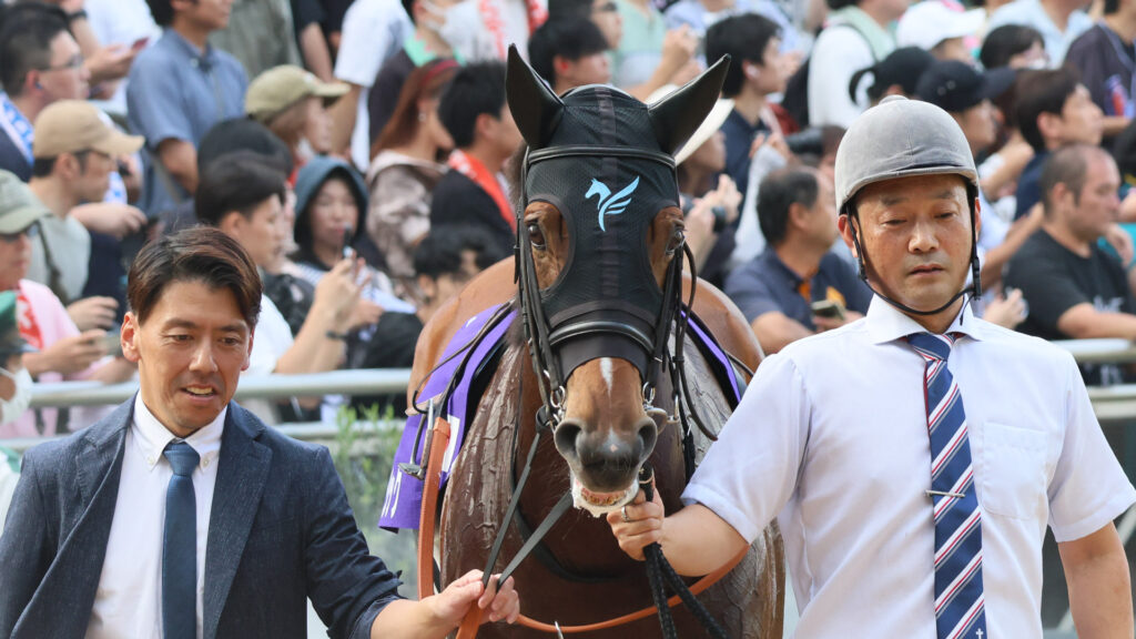 2025年9月28日、中山競馬場で行われた第59回スプリンターズステークス。アイビスサマーダッシュの勝ち馬ピューロマジックが、落ち着いた様子でパドックを周回。展開の鍵を握る存在として注目された。