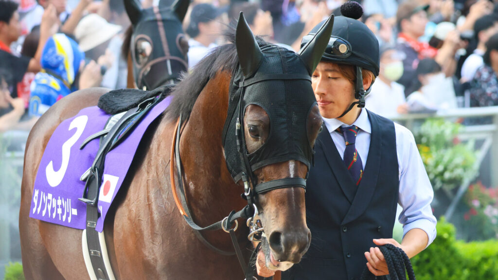 スプリンターズステークスのパドックで周回するダノンマッキンリー。いつもより穏やかな表情を見せ、落ち着いた雰囲気が印象的だった。