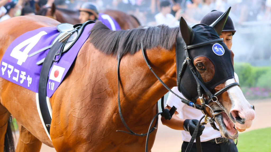 2025年スプリンターズステークス（GⅠ）中山競馬場のパドックで落ち着いて周回する白毛のGⅠ馬ママコチャ。可愛らしさと豊かな表情が魅力の人気馬。
