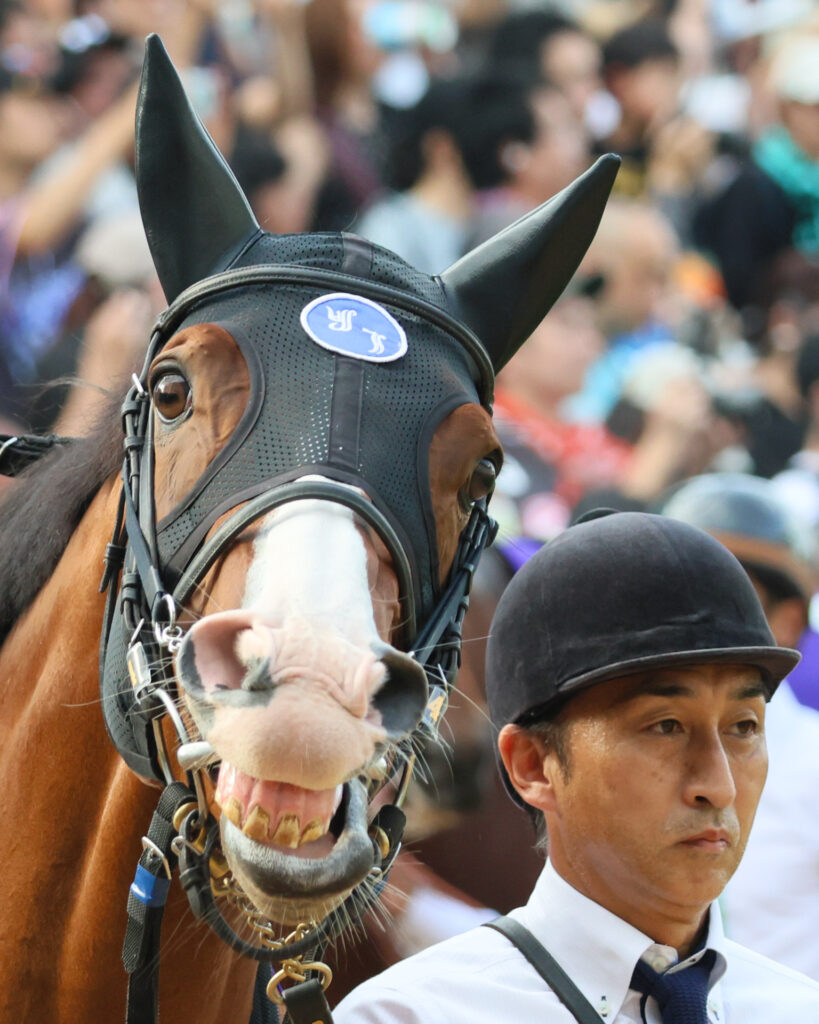 白く輝く馬体に、ひとつひとつ違う可愛らしい表情。ママコチャはGⅠ馬でありながら、どこか無邪気で、見る者の心を和ませてくれる存在だった。