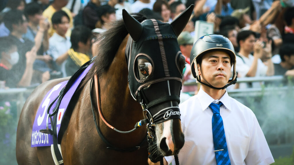 2025年スプリンターズステークス（GⅠ）中山競馬場のパドックで、前走セントウルステークスを制したカンチェンジュンガが鋭いまなざしで落ち着いて周回。GⅠ制覇を狙う注目馬。