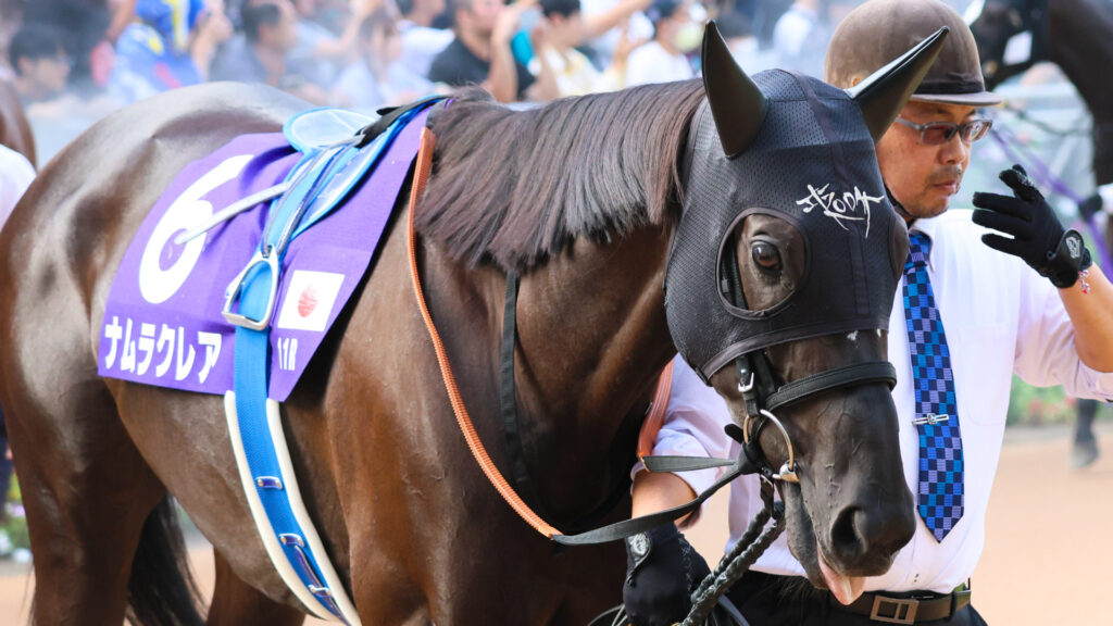 2025年スプリンターズステークス（GⅠ）中山競馬場のパドックで、GⅠ制覇を目指すナムラクレア。もう「惜しい」はいらない。