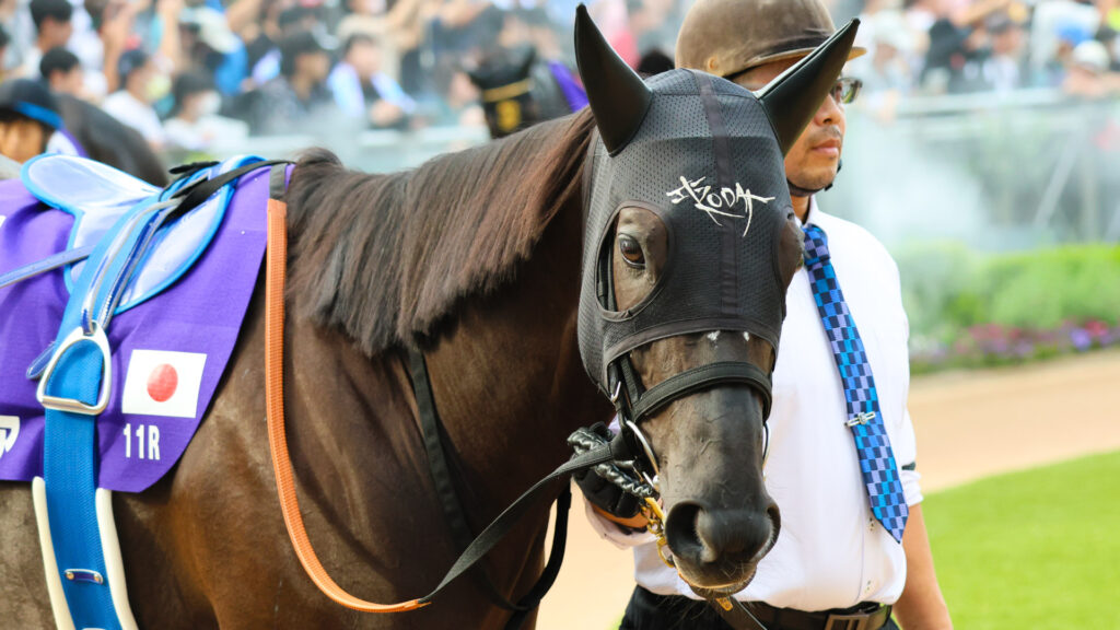 もう2着はいらない──そう言わんばかりのまなざしを携えて、ナムラクレアは静かに歩を進めていた。勝利への想いが、その瞳に宿る。