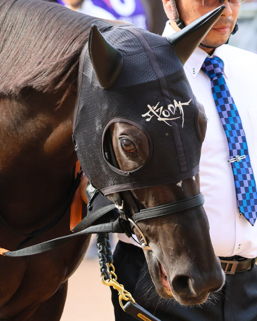 スプリンターズステークスのパドックを落ち着いて周回するナムラクレア。2年連続2着を経て「もう負けたくない」と語るような鋭い眼差しが印象的だった。