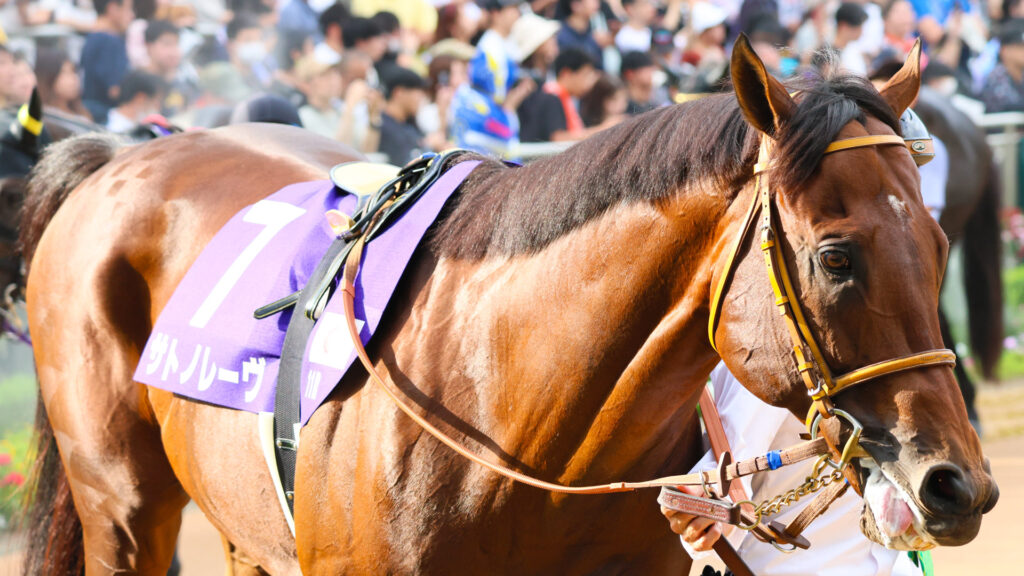 堂々たる風格を見せながら、歩を進めるサトノレーヴ。春の王者が秋の頂を見据えるパドック、その静けさに秘めた闘志が光る。