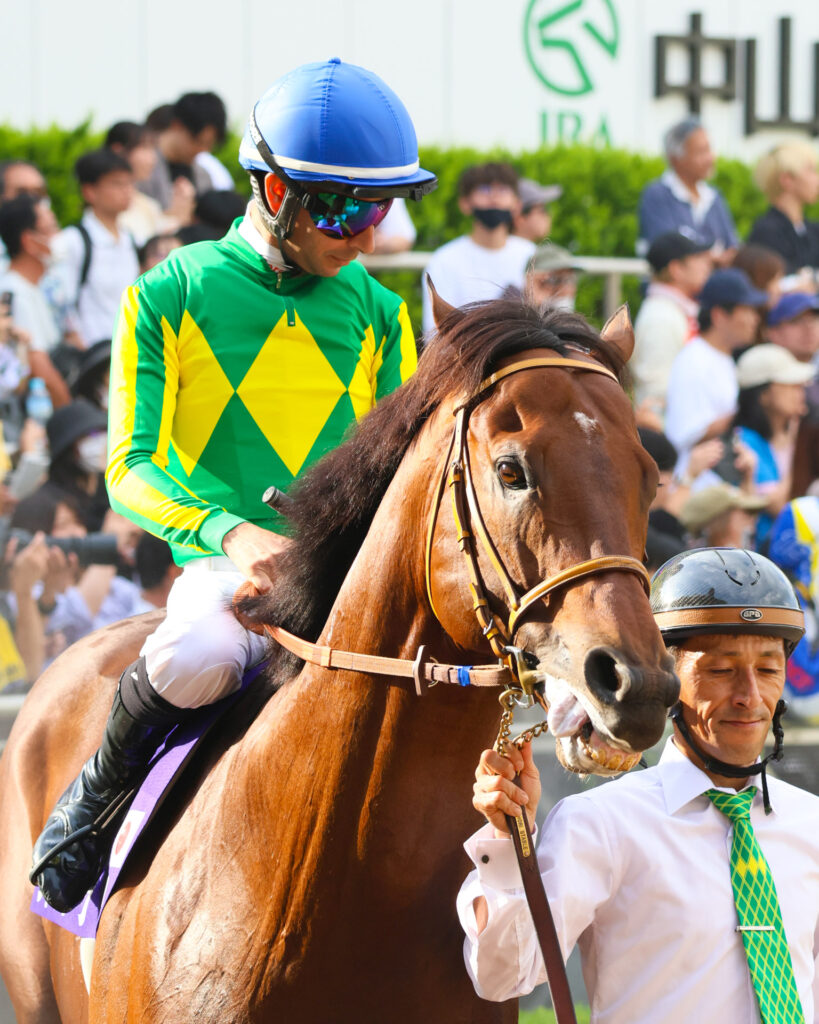 高松宮記念の勝ち馬サトノレーヴが、モレイラ騎手を背にスプリンターズステークスのパドックを落ち着いて周回。春秋スプリント制覇を狙う視線が鋭い。