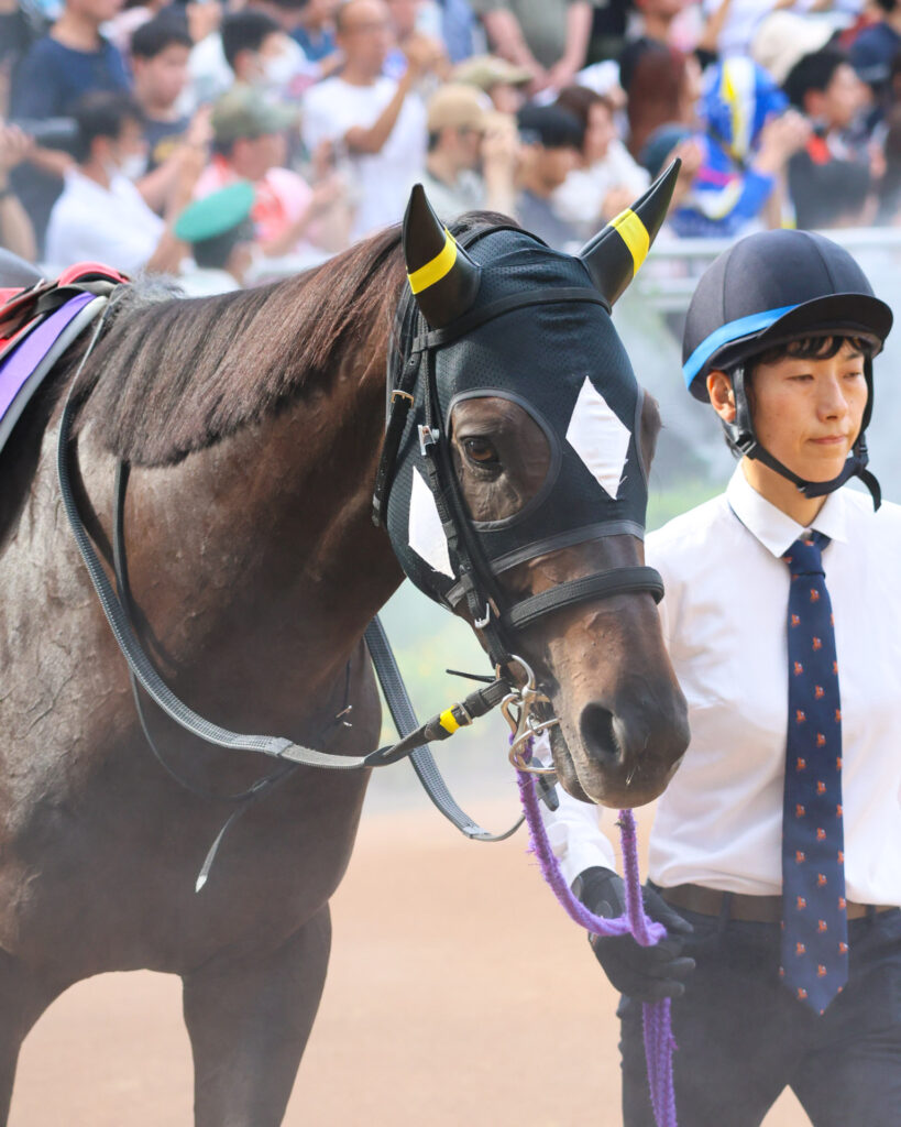 2025年スプリンターズステークス（GⅠ）中山競馬場のパドックで、前走キーンランドカップ2着のペアポルックスが落ち着いた歩様で周回。注目の巻き返しを期す一戦。