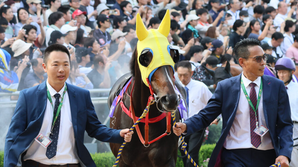 ブリンカーの奥からそっと覗く瞳に、どこかあどけなさを感じるラッキースワイネス。香港からの遠征馬を笑顔で支える厩舎の姿も温かい。