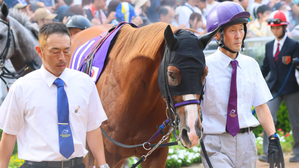 スプリンターズステークスのパドックで、2人引きで登場したトウシンマカオ。気合の入った表情と力強い歩様が目を引いた。