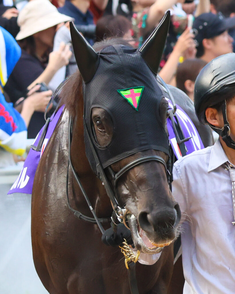 第59回スプリンターズステークス（2025年・中山競馬場）のパドックで、GⅠ出走を前に落ち着いた姿で周回するルガル。