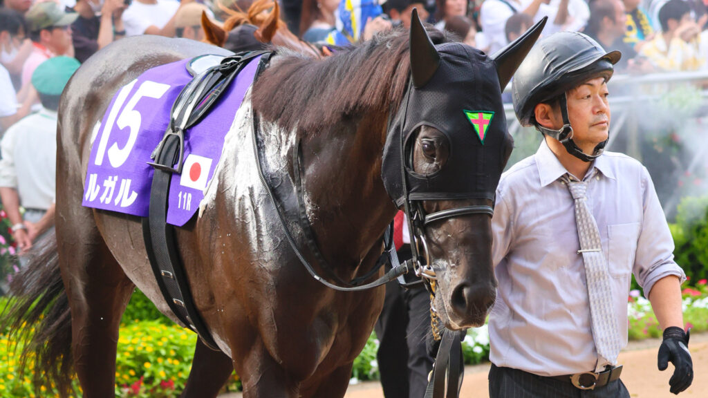 第59回スプリンターズステークス（2025年・中山競馬場）のパドックで、GⅠ出走を前に落ち着いた姿で周回するルガル。