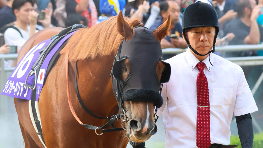 スプリンターズステークスのパドックで、ブリンカーを着けて落ち着いた様子で周回するウインカーネリアン。勝負気配を感じさせる雰囲気。