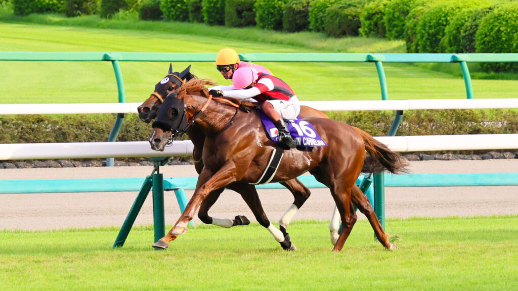 第59回スプリンターズステークス（2025年・中山競馬場）、ウインカーネリアンが三浦皇成騎手を背にジューンブレアとの叩き合いを制し、人馬共にGⅠ初制覇を飾ったゴール前の写真。