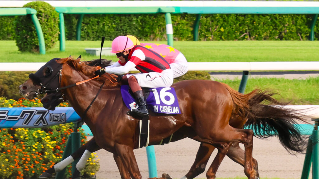 スプリンターズステークスのゴール前、ウインカーネリアンと三浦皇成騎手がジューンブレアと武豊騎手を競り落とし、激闘を制した瞬間。