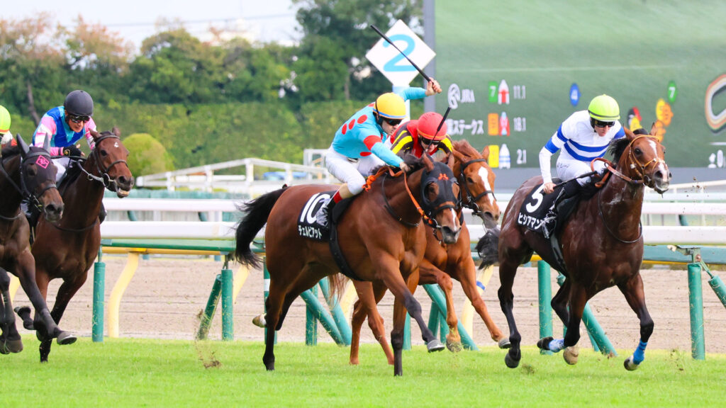 2025年11月1日、東京競馬場で行われた紅葉ステークス。ゴール前100mで差し脚を伸ばすチェルビアットを、ルメール騎手がムチで鼓舞する瞬間。