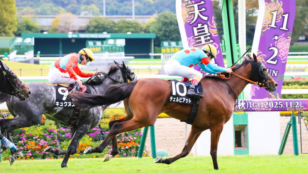 東京競馬場で行われた紅葉ステークス、チェルビアットがルメール騎手を背にゴール前でキュクヌスをしっかりと差し切り、見事な1着フィニッシュを決めた瞬間の写真。