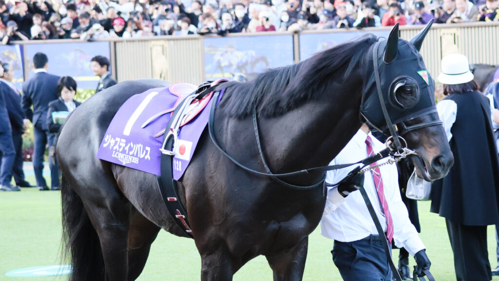 2025年ジャパンカップ（GⅠ）東京競馬場のパドックで、ジャスティンパレスが落ち着いた表情で周回。素晴らしい馬体で堂々たる姿を見せた。
