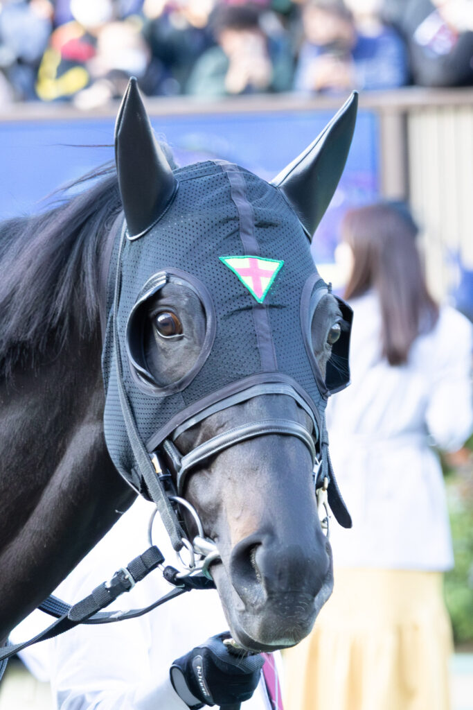 2025年ジャパンカップ（GⅠ）東京競馬場のパドックで見せた、ジャスティンパレスのかわいらしい表情を捉えた写真。