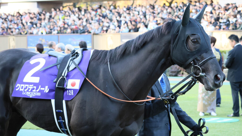 2025年ジャパンカップ（GⅠ）東京競馬場のパドックで、落ち着いて周回を重ねる、2025年の日本ダービー馬クロワデュノール。