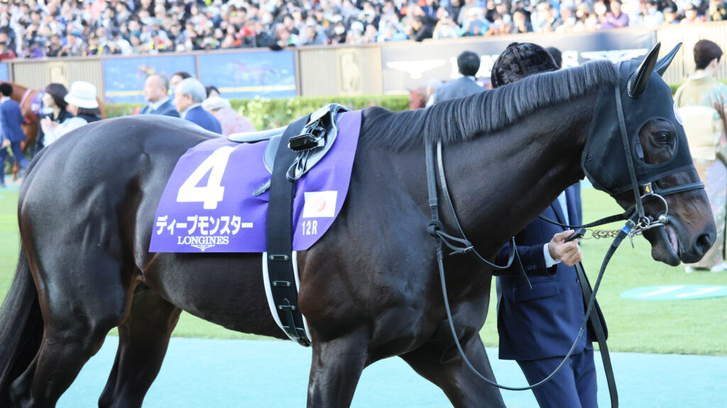 2025年ジャパンカップ（GⅠ）東京競馬場のパドックで、厩務員と共に落ち着いて歩くディープモンスター。