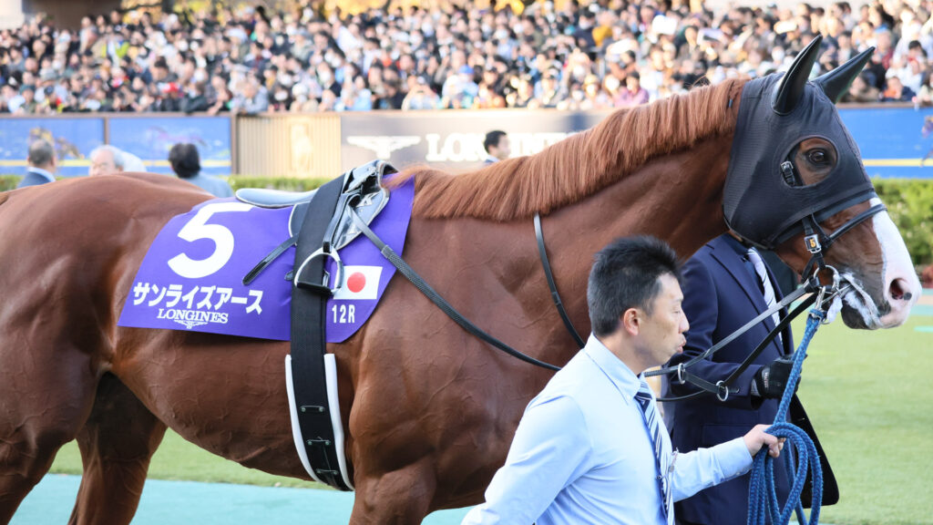 2025年ジャパンカップ（GⅠ）東京競馬場のパドックで、二人引きながらも落ち着いて歩くサンライズアース。