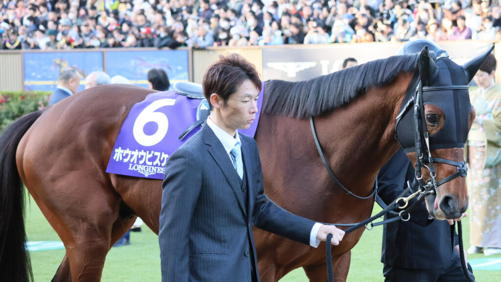 2025年ジャパンカップ（GⅠ）東京競馬場のパドックで、かわいらしい表情を見せるホウオウビスケッツ。