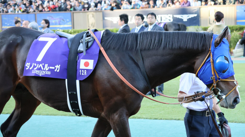 2025年ジャパンカップ（GⅠ）東京競馬場のパドックで、深めのブリンカーを着け、落ち着いて周回するダノンベルーガ。