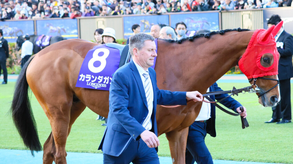 2025年ジャパンカップ（GⅠ）でただ一頭の外国勢。東京競馬場のパドックで、落ち着いた周回を見せる欧州年度代表馬カランダガン。