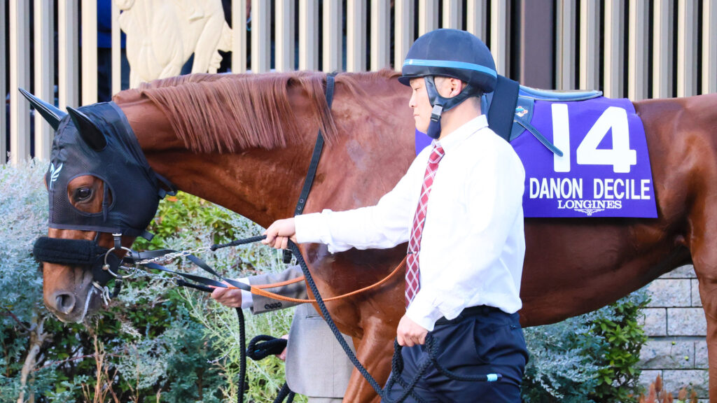 2025年東京競馬場で実施されるジャパンカップ（GⅠ）。3頭のダービー馬が集まる中、落ち着いて表情で気合を見せる2024年日本ダービー馬ダノンデサイル。