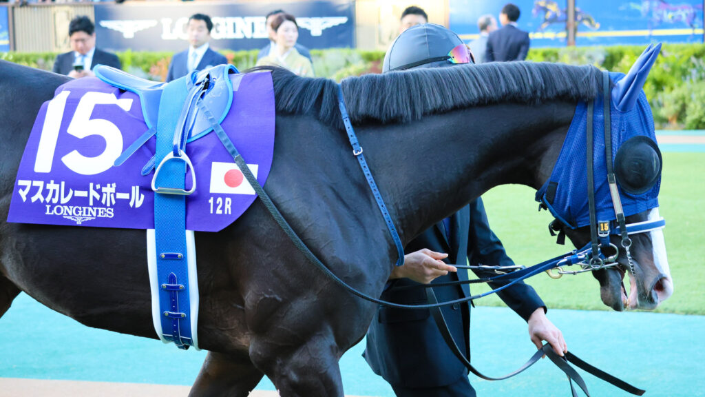 2025年ジャパンカップ（GⅠ）東京競馬場のパドックで、時折気合の入っているところを見せる天皇賞馬マスカレードボール。