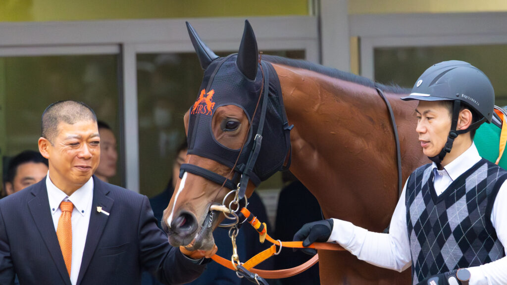 2025年ターコイズステークス当日、パドックを落ち着いて周回するチェルビアット。高野調教師が歩きながらチェルビアットの表情を確認しているよう。