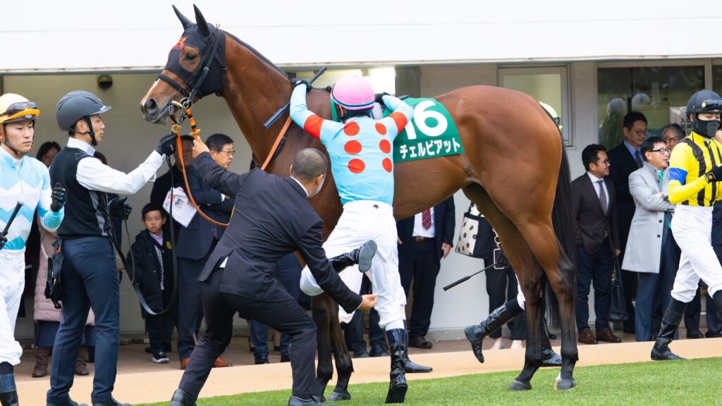 2025年ターコイズステークス当日、パドックでの騎乗命令でチェルビアットに騎乗する戸崎騎手と、足上げをする高野調教師。