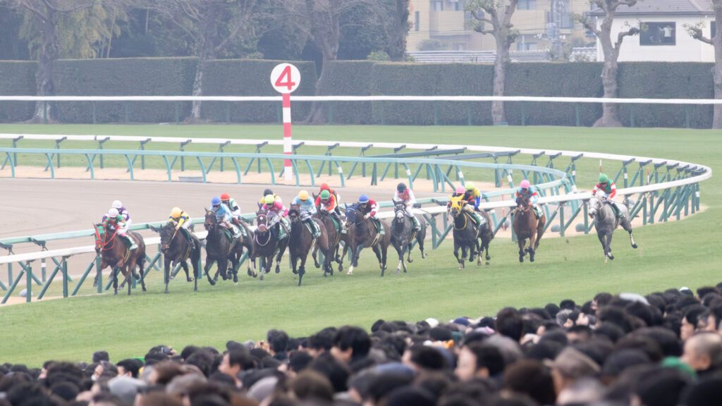 2025年12月20日中山競馬場で行われたターコイズステークス。4コーナーを回って、各馬が直線に向いて最後の力を振り絞る。