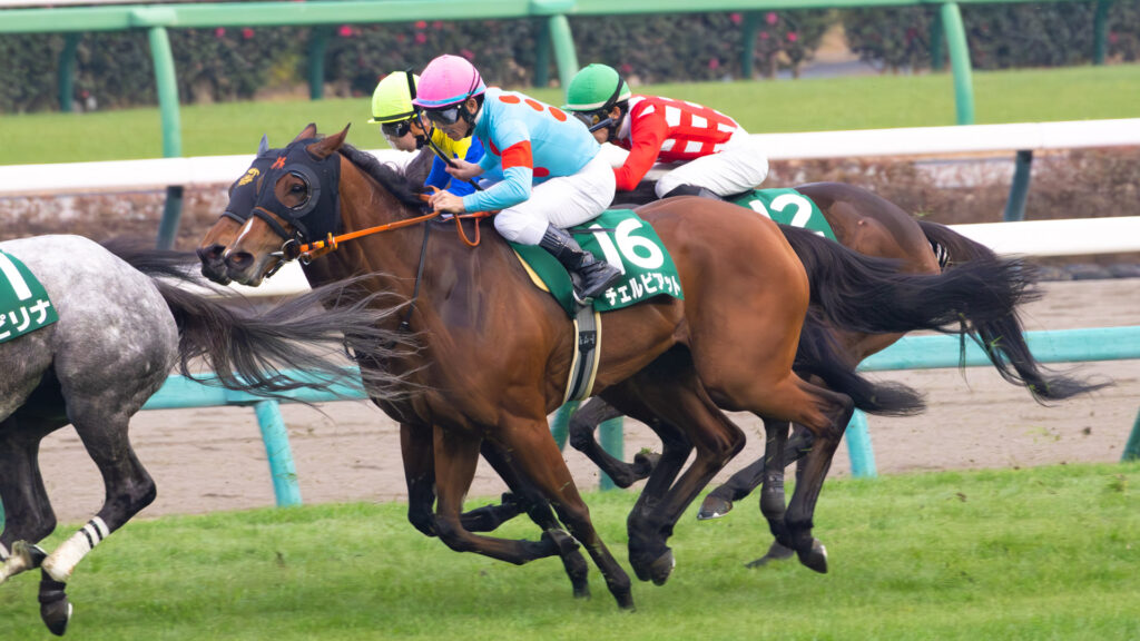 2025年ターコイズステークス（GⅢ）中山競馬場の最後の直線で、戸崎圭太騎手を背に最後方から前を追うチェルビアット。出資馬が重賞に挑んだ記録の一枚。