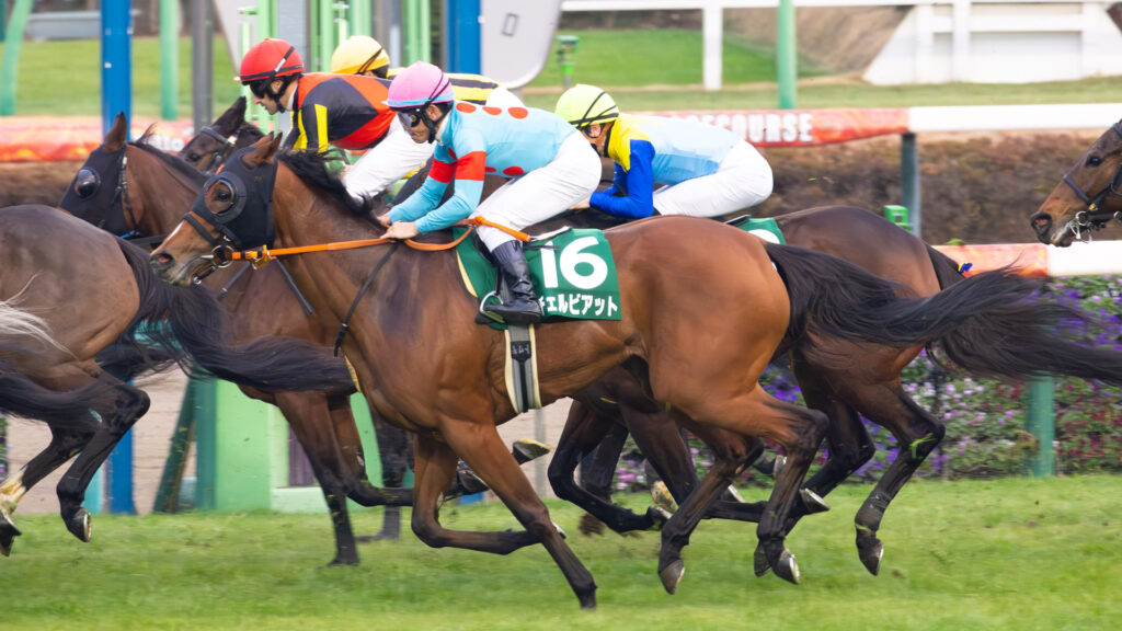 2025年12月20日、中山競馬場で行われたGⅢターコイズステークス。出遅れながらも戸崎騎手を背に、チェルビアットが最後まで脚を伸ばし、13着でゴールした。